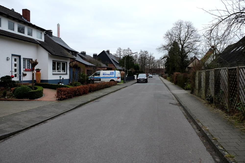 Die Kastanienallee in Hiltrup (29.1.2016; Foto: Klare)