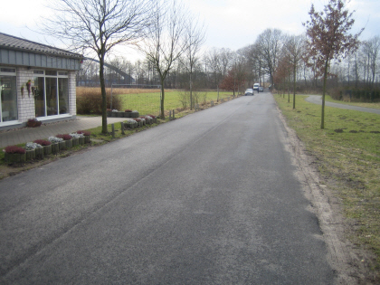 Friedhof Hohe Ward: Zufahrt