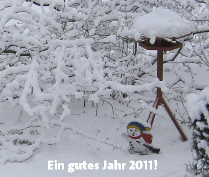 Ein gutes Jahr 2011!