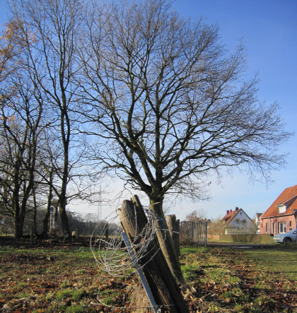 Hier entsteht am Vennheideweg der Spielplatz