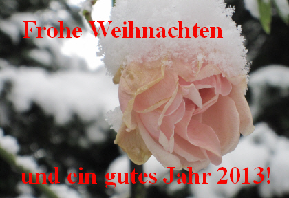 Weihnachtsgru 2012